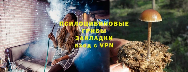 молекула духа Приозерск