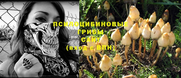 spice Покровск
