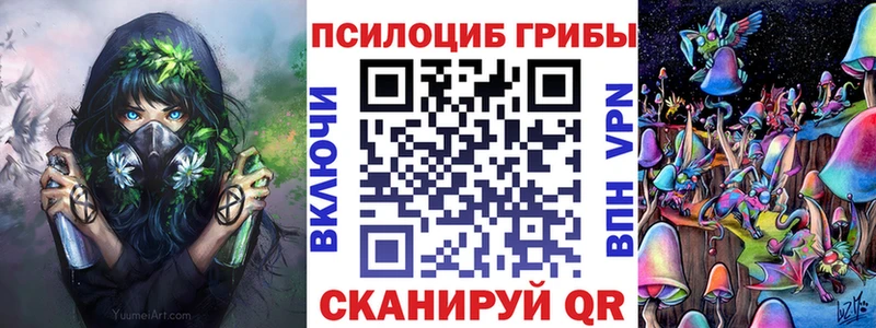Галлюциногенные грибы Psilocybine cubensis  MEGA ссылки  Руза  магазин   
